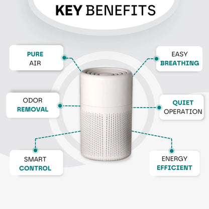 Compact Air Purifier
