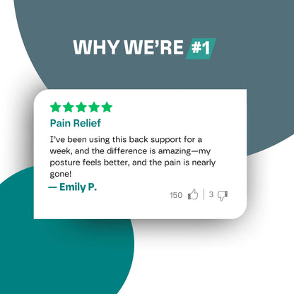 Premium Back Pain Support Belt: No More Back Pain